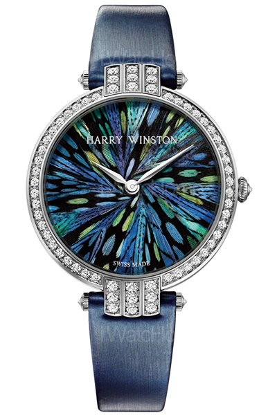 Premier Feathers in white gold